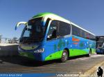 Irizar I6 / Mercedes Benz OC-500RF / Buses Madrid