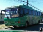 Mercedes Benz O-371RS / Particular