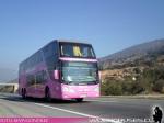 Modasa New Zeus II / Scania K410 / Pullman Bus