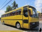 Mercedes Benz O-371RS / Particular