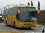 Marcopolo Viaggio 1050 / Scania K124IB / Particular