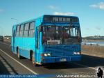 Marcopolo Torino / Mercedes Benz OF-1115 / Particular