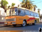 Nielson Diplomata 310 / Mercedes Benz OF-1115 / Particular