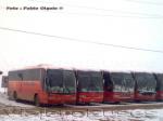 Unidades Pullman Bus Industrial / Faena Los Bronces