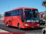 Marcopolo Paradiso 1200 / Mercedes Benz O-400RSE / Buses Olguin