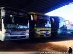 Unidades Busscar El Buss 340 / Mercedes Benz / Buses H. Meneses