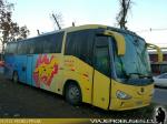 Irizar Century / Volkswagen 18-310OT / Particular