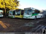 Buses Gutierrez / Parral - VII Región