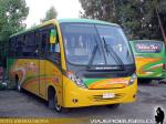 Neobus Thunder+ / Mercedes Benz LO-916 / Terma Tur