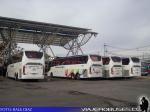 Neobus N10 380 / Scania K410 / Pullman Bus