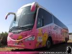 Irizar I6 3.90 / Mercedes Benz O-500RSD / SRT Cielo