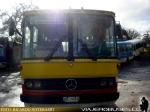 Mercedes Benz O-364 / Buses Notebaert