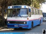 Mercedes Benz O-365 / Particular