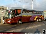 Irizar PB / Mercedes Benz O-500RSD / Hualpen