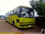 Mercedes Benz O-371RSL / Particular