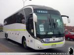 Neobus N10 380 / Scania K400 / Tandem