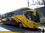 Flota de Buses Pullman Bus - Tandem