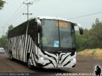 Irizar Century 3.90/ Mercedes Benz O-500RSD / Particular