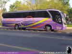 Neobus New Road N10 360 / Mercedes Benz OF-1724 / Sotrul