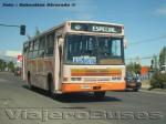 Comil Svelto / Mercedes Benz OF-1318 / Agrinova