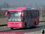 Busscar El Buss 340 / Mercedes Benz / Particular