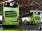 Marcopolo Paradiso G7 1800DD / Volvo B430R - Mercedes Benz O-500RSD / Tepual - Servicio Especial