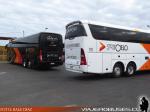 Unidades Irizar / SRT Cielo