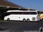 Irizar i6 3.90 / MAN 26.480 / Buses La Paloma