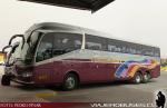 Irizar I6 3.90 / Volvo B420R / Hualpen