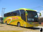 Neobus New Road N10 360 / Volvo B380R / Terma Tur