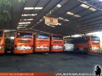 Instalaciones Top Buses / Melipilla