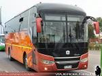 Zhong Tong LCK6127H / Transportes Viña