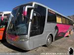 Busscar Vissta Buss LO / Scania K124IB / Particular