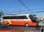 Yutong ZK6136 / Pullman Bus