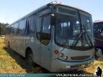 Comil Versatile / Mercedes Benz OF-1721 / I. Municipalidad de Quintero