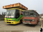 Mercedes Benz O-355 / Particular