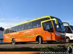 Mascarello Roma MD / Mercedes Benz OF-1724 / Thaebus