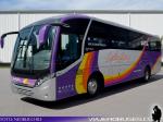 Neobus New Road N10 340 / Mercedes Benz OF-1724 / Schuftan