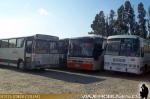 Unidades Mercedes Benz - Scania / Transportes Begoña