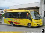 Neobus Thunder + / Mercedes Benz LO-915 / Terma Tur