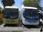 Unidades Viaggio G7 1050 / Buses Pallauta - Cormar Bus