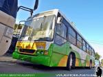 Marcopolo Torino / Volvo B10M / Particular