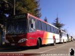 Busscar Urbanuss / Mercedes Benz OF- 1417 y OF -1721 / Arle Bus