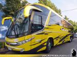 Marcopolo Paradiso G7 1200 / Mercedes Benz O-500RSD / Pullman Bus - Tandem