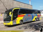 Neobus New Road N10 380 / Scania K400 / Jet Sur