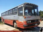 Mercedes Benz O-364 / Particular