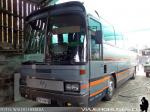 Mercedes Benz O-303 / Particular