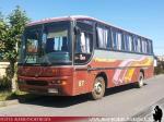 Unidades Mercedes Benz / Buses Hualpen