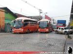 Unidades Pullman Bus Industrial