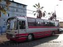 Mercedes Benz O-303 / Buses La Reina